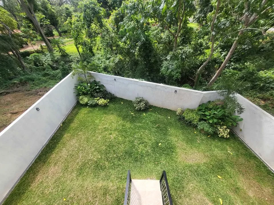 Private grass garden bordered by mature trees